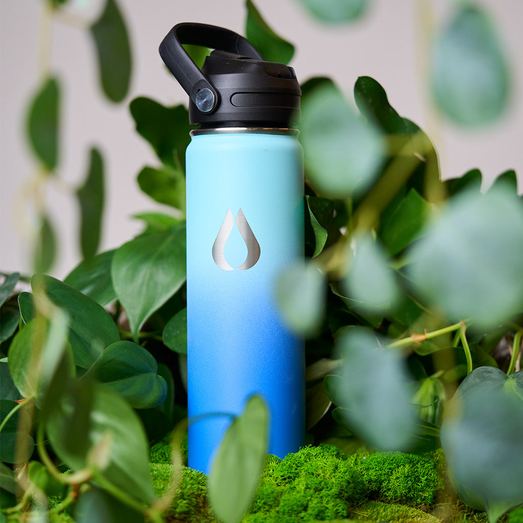 Waterfles - 650ML - Sky