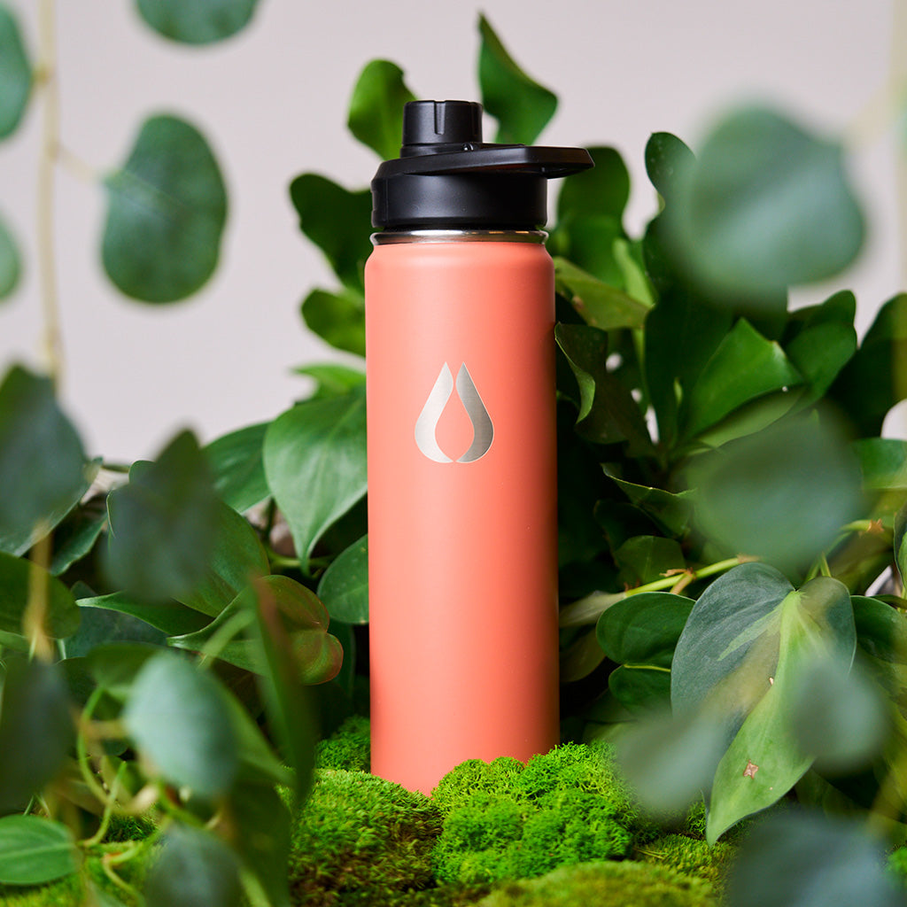 Waterfles - 650ML - Perzik